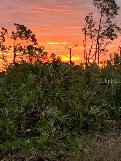 197 Jade St, Rotonda West, FL 33947 - photo 4