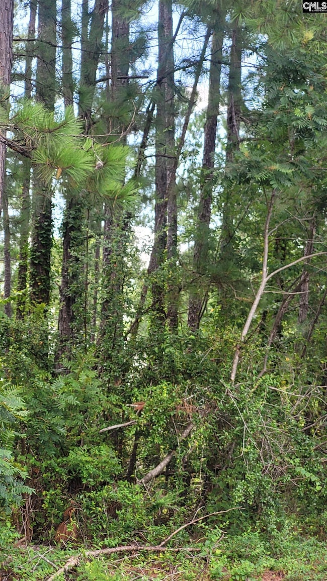 4 Chesapeake Ct, Columbia, SC 29223 - photo 7