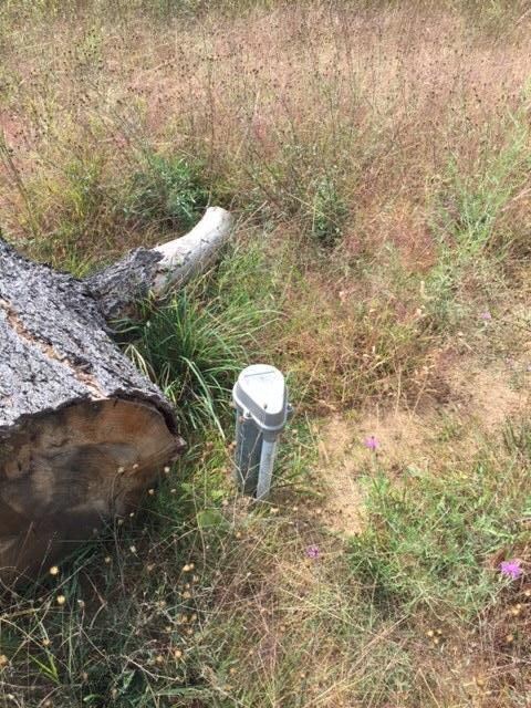 9508 Old 27 Hwy N, Vanderbilt, MI 49795 - photo 4