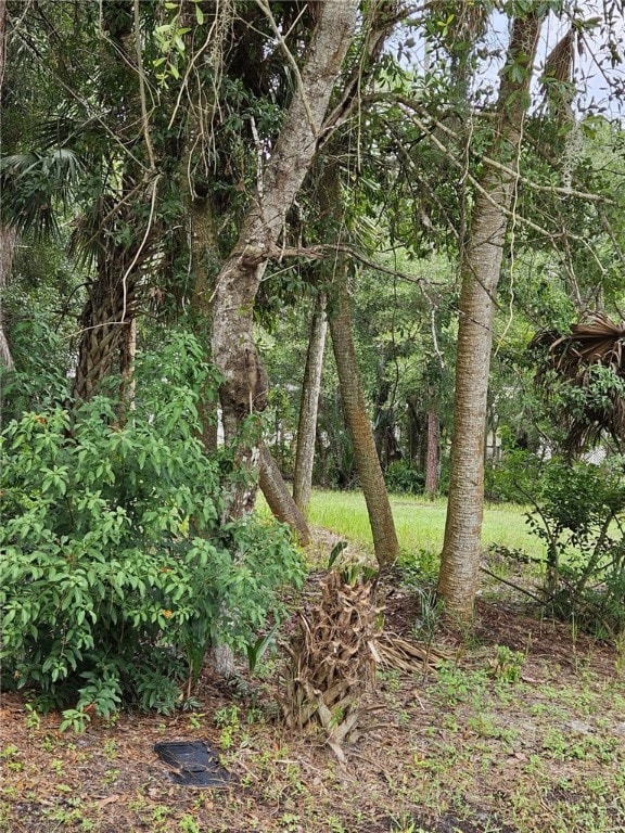 6230 5th St, Vero Beach, FL 32968 - photo 3