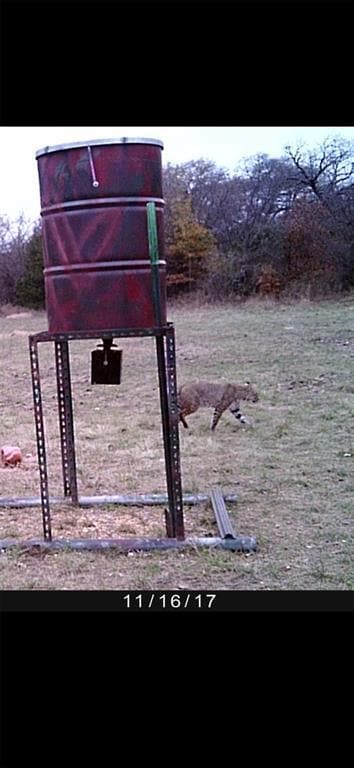 TBD Uz Rd N, Forestburg, TX 76239 - photo 7