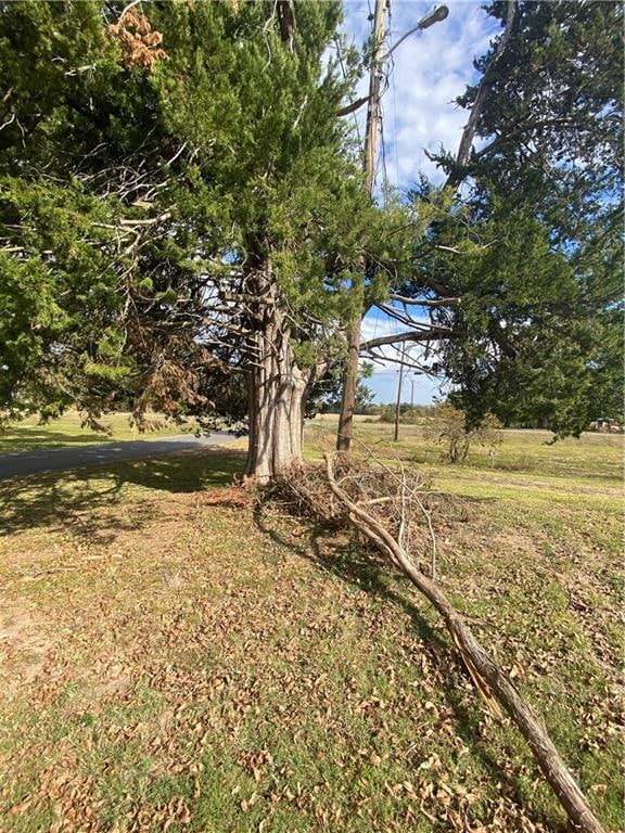 117 James Clark Rd, Plaucheville, LA 71362 - photo 4