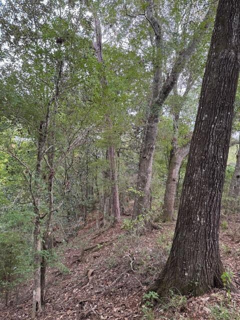 11009 E State Highway 52, Webb, GA 30376 - photo 3