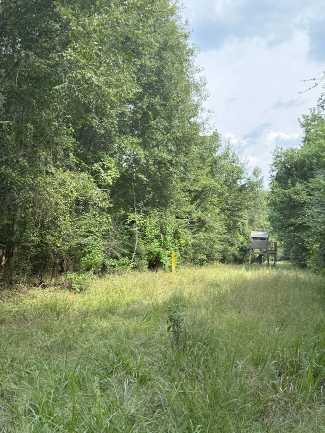 TBD Quitman Hwy, Hodge, LA 71268 - photo 5