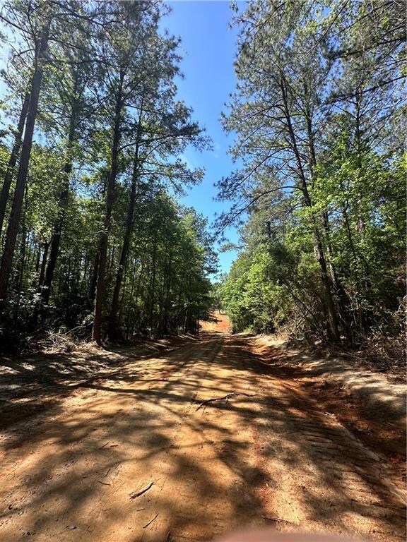 6.671 acres Lawrence Creek Rd, Franklinton, LA 70438 - photo 3