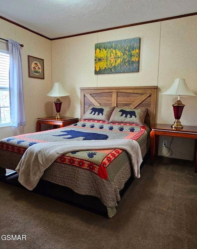 1420 Russell Hollow Rd, Sevierville, TN 37876 - photo 5