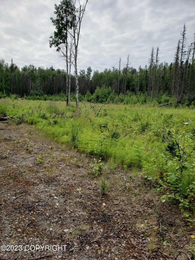 From back of lot