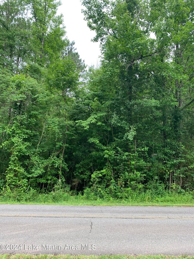 Lot 23