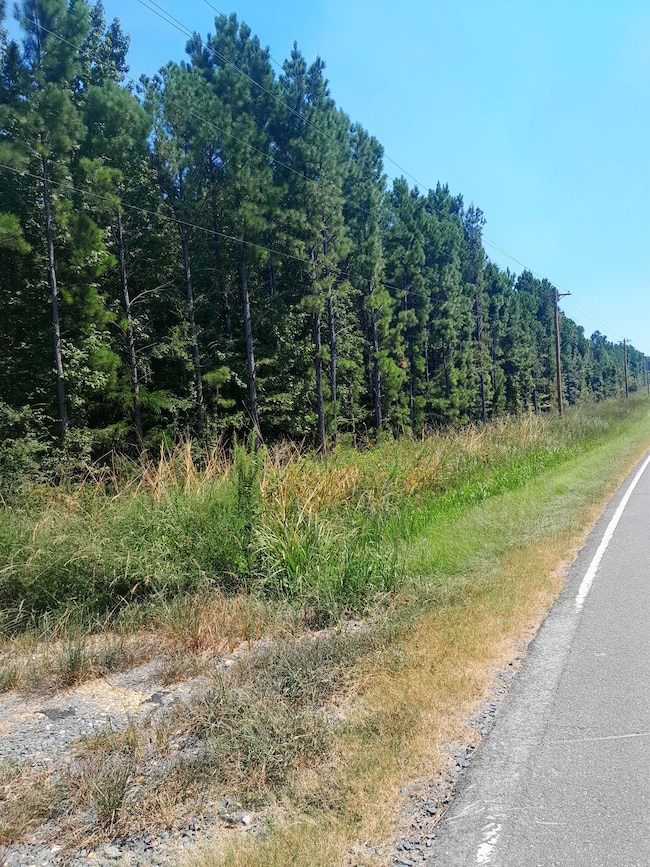 Tbd White Store Rd, Wadesboro, NC 28170 - photo 7