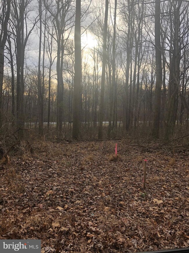 4955 Old Washington Rd, Sykesville, MD 21784 - photo 3