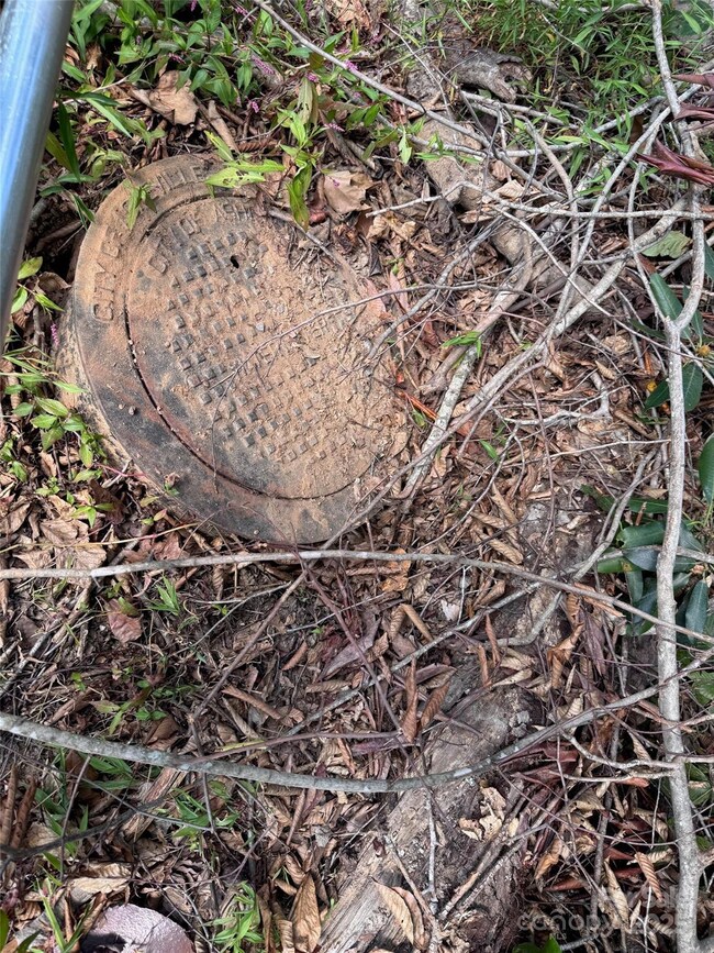 508 Old Bee Tree Rd, Swannanoa, NC 28778 - photo 6