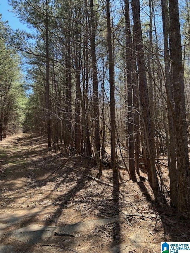 0 Kensington Blvd unit 21413574, McCalla, AL 35111 - photo 7