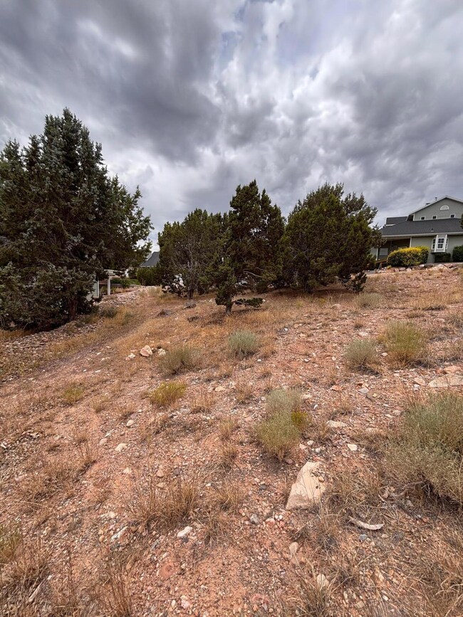 338 Pachea Cir, Cedar City, UT 84720 - photo 4