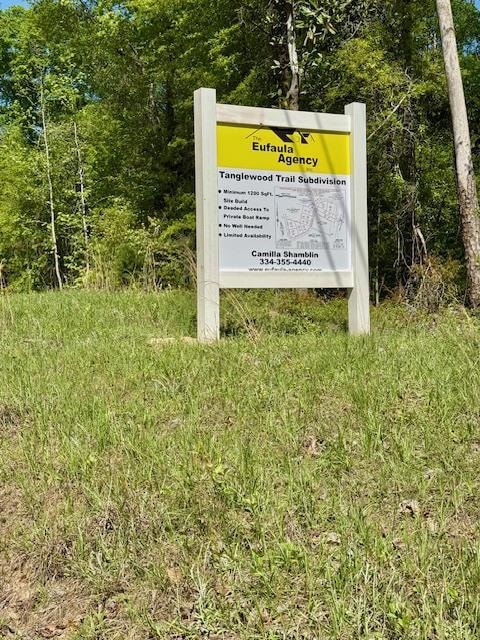 Lot # 9 Tanglewood Trail Subdivision, Georgetown, GA 39854 - photo 6