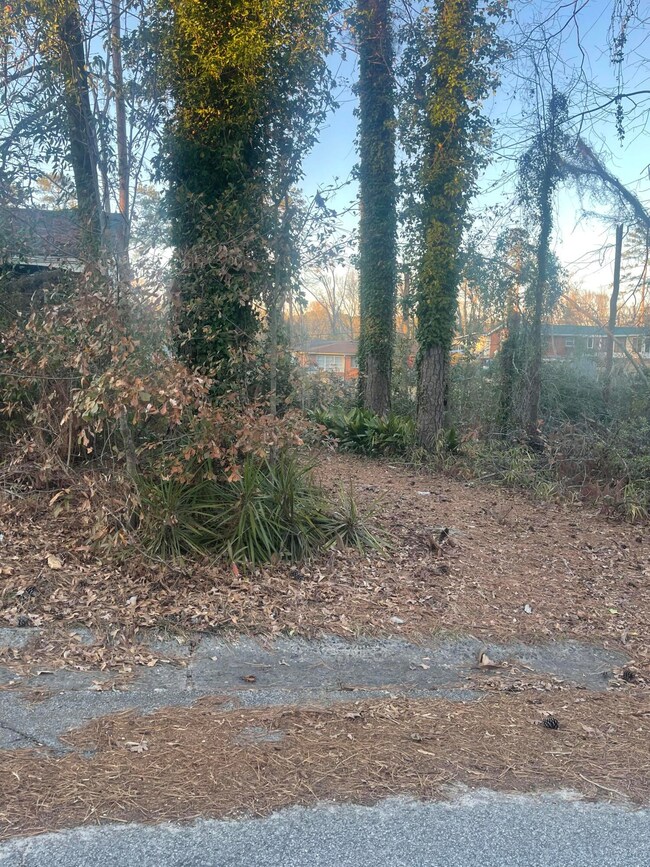 Yard-2