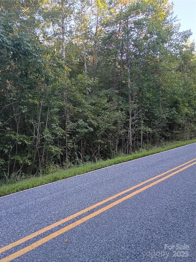 00 Toney Rd, Bostic, NC 28018 - photo 3