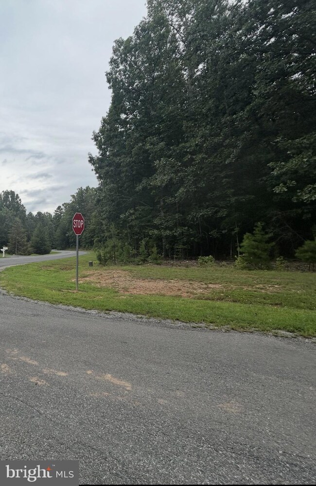 0 Hensley Rd unit VALA2008616, Mineral, VA 23117 - photo 4