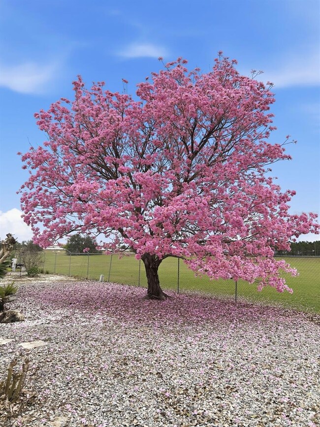 unlisted-address, Davenport, FL 33897 - photo 2