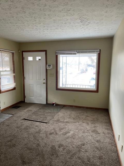 Living room - new windows - carpet