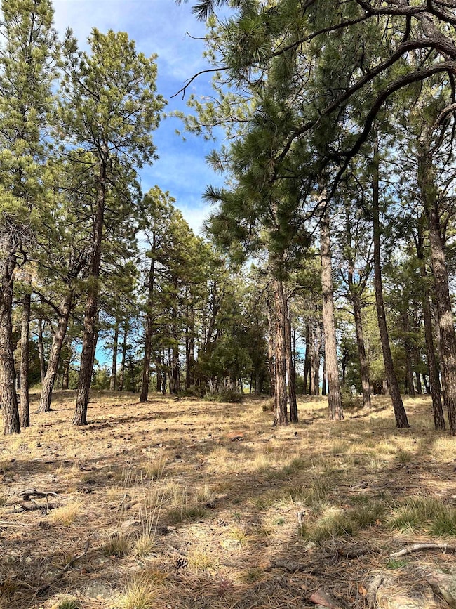 46 Marmot Dr, Loghill Village, CO 81432 - photo 7