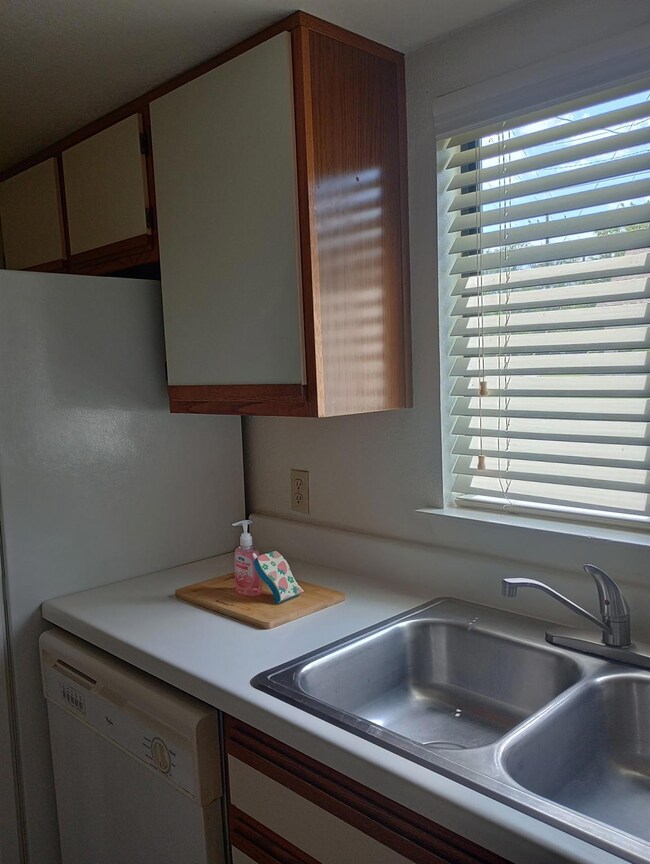 Kitchen with dishwasher, a sink, plenty of natura