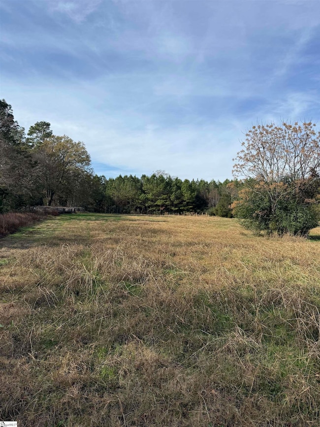 00 High Point Rd, Saluda, SC 29138 - photo 2