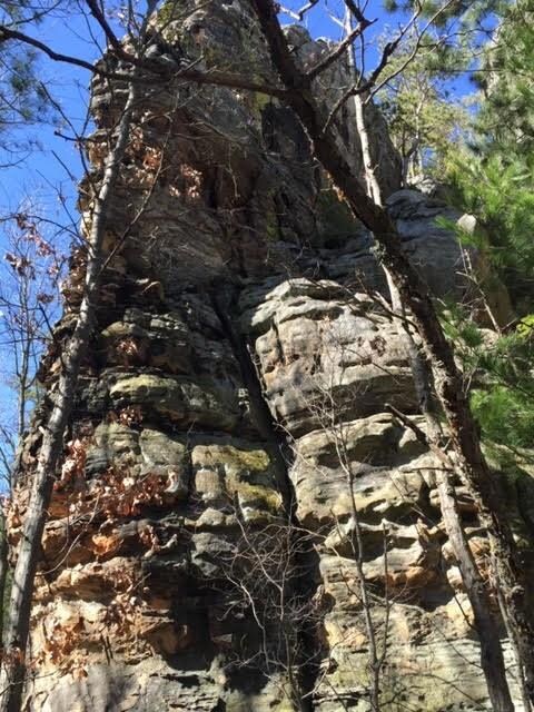 N8573 County Road H, Camp Douglas, WI 54618 - photo 6