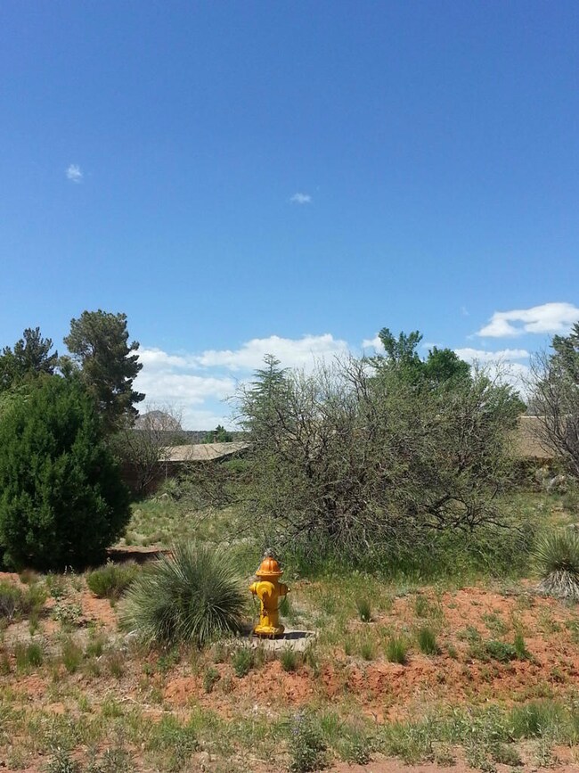 Shirley vac land photo 5