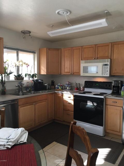 Lupine.Kitchen
