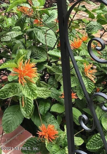 1677 Geraldine Dr, Jacksonville, FL 32205 - photo 5