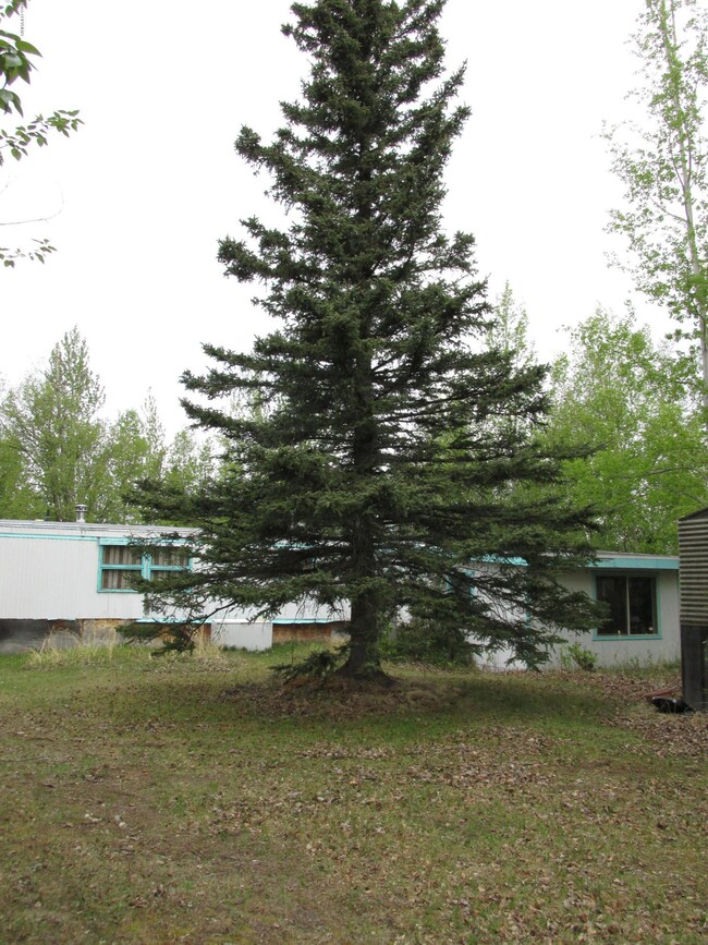 trailer with spruce