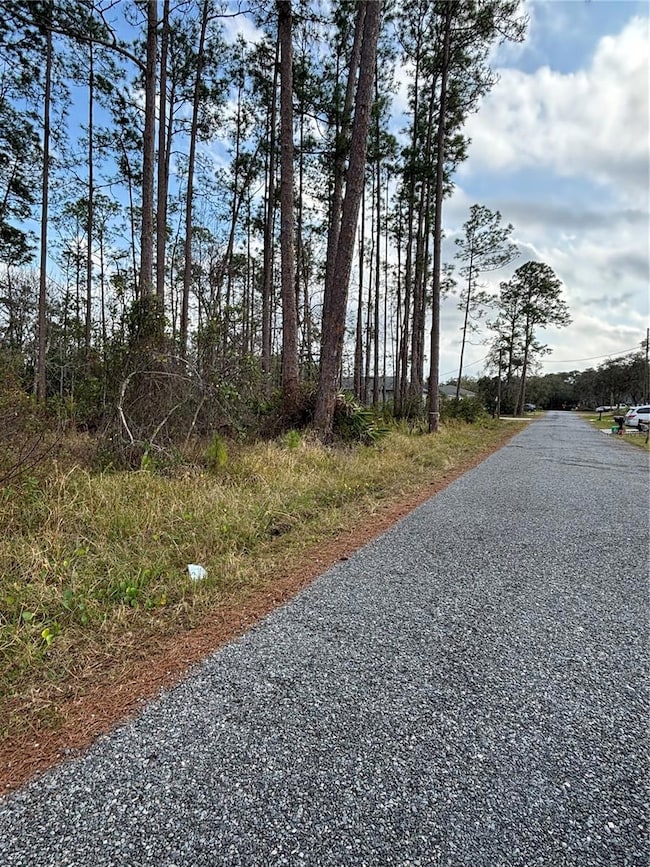 0 5th Ave unit MFRV4940662, Deland, FL 32724 - photo 6