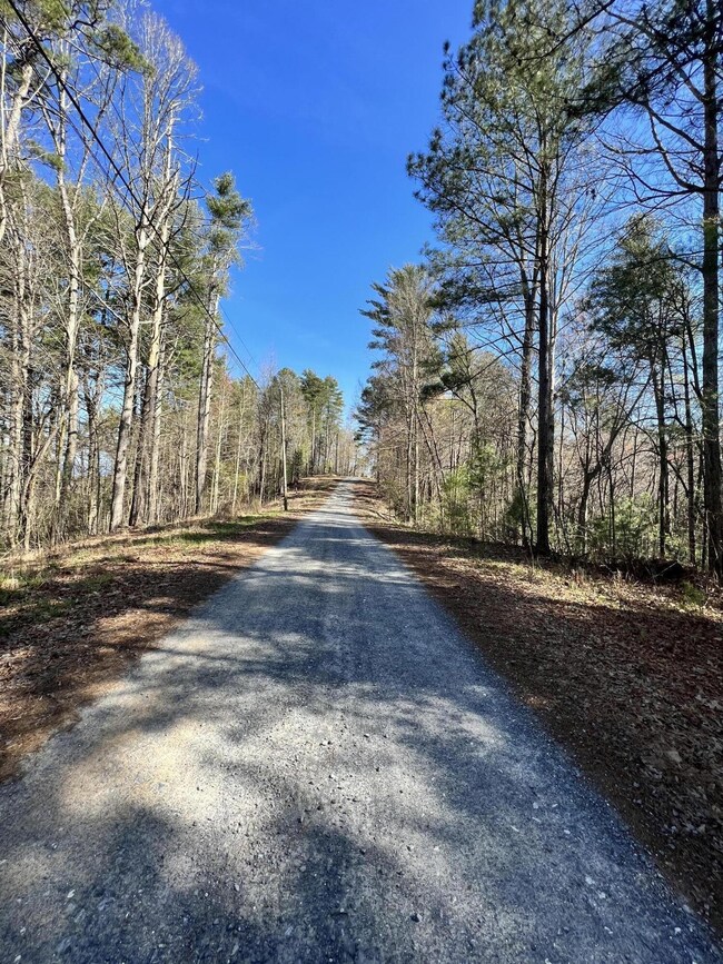 0 Indian Ln unit RTC2714807, Ellijay, GA 30540 - photo 3