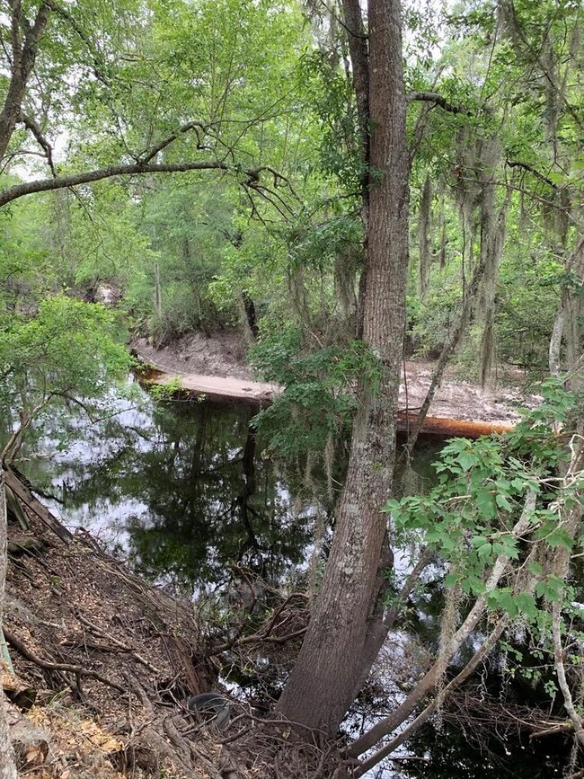 8448 Raulerson Rd, Patterson, GA 31557 - photo 2