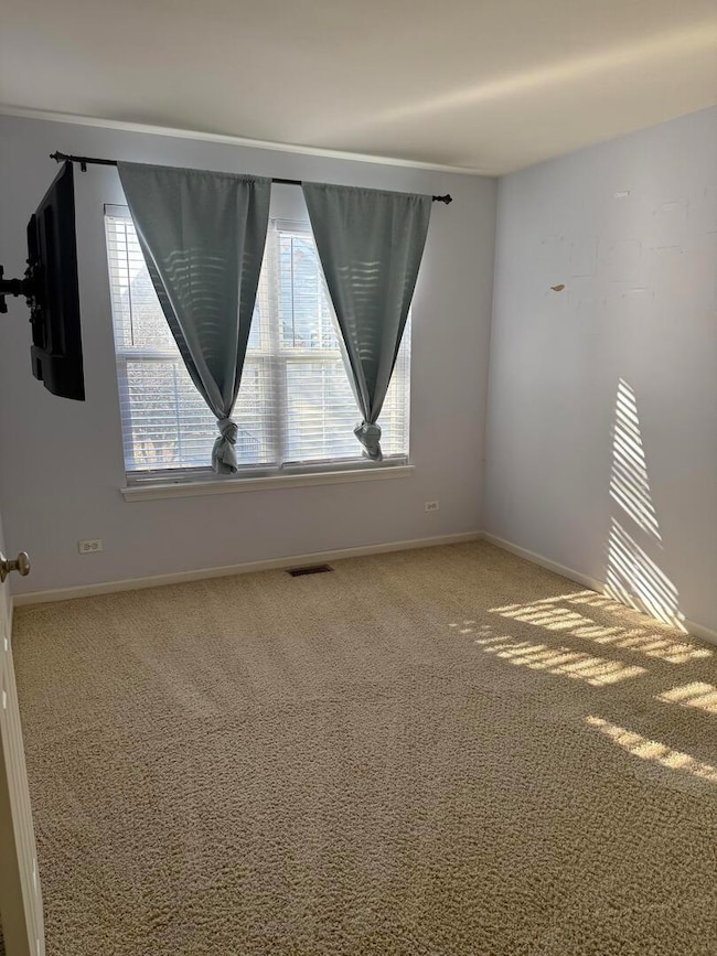 898 Emerald Dr, Pingree Grove, IL 60140 - photo 6