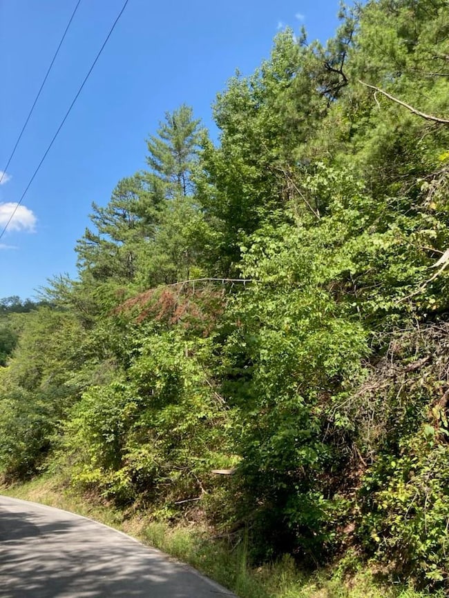 0 Lots 14 15 and 16 Sunset Rd unit 244941, Sevierville, TN 37862 - photo 2