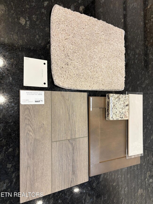 220 Clover Meadow Ln, Maryville, TN 37801 - photo 4