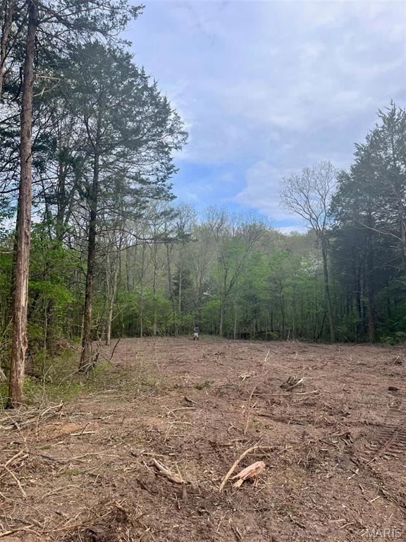 2244 Liberty Crossing Trail, Hillsboro, MO 63050 - photo 3