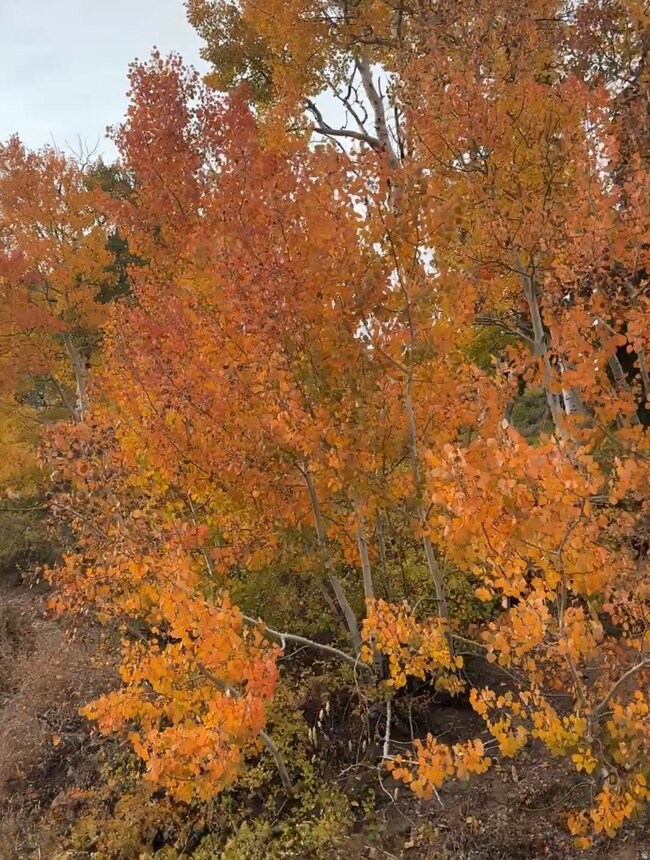 6838 E 6675 N unit 2, Eden, UT 84310 - photo 2