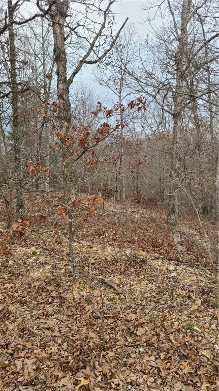 0 Orwell Cir unit 1240967, Bella Vista, AR 72715 - photo 2