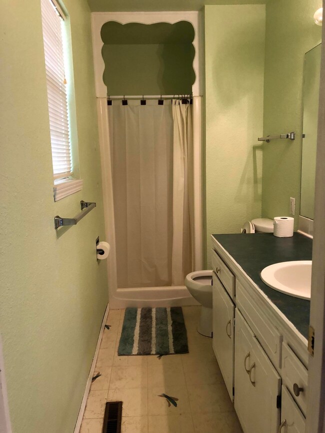 Owner's bathroom