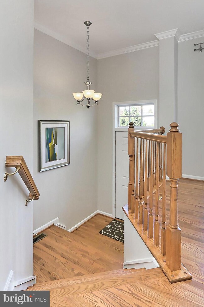 22062 Chelsy Paige Square, Ashburn, VA 20148 - photo 5