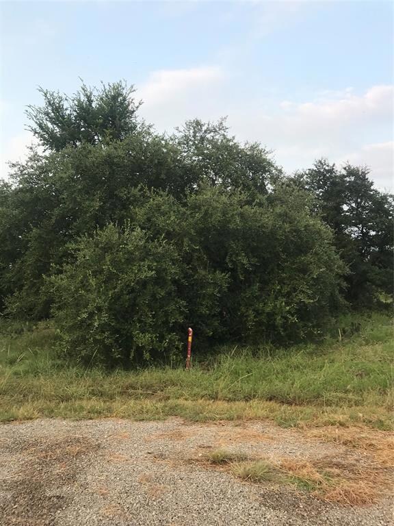 14063 Sandy Oaks Ct, Whitney, TX 76692 - photo 4