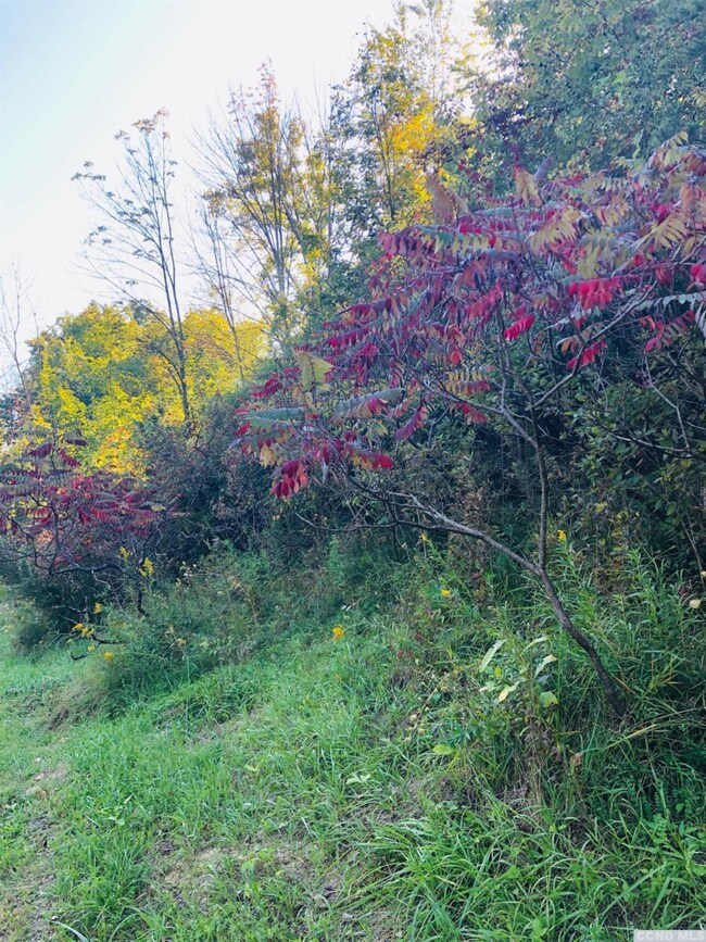 52 - A Sleepy Hollow Rd, Coxsackie, NY 12051 - photo 2