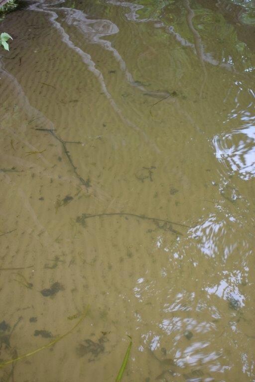 27954 County Road Ff, Webster, WI 54893 - photo 3