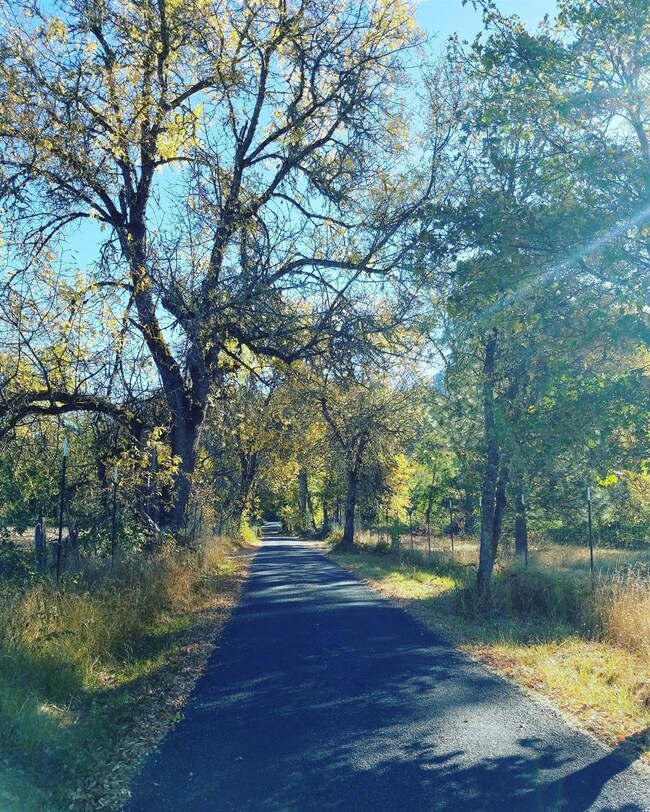 2585 E Evans Creek Rd, Rogue River, OR 97537 - photo 3