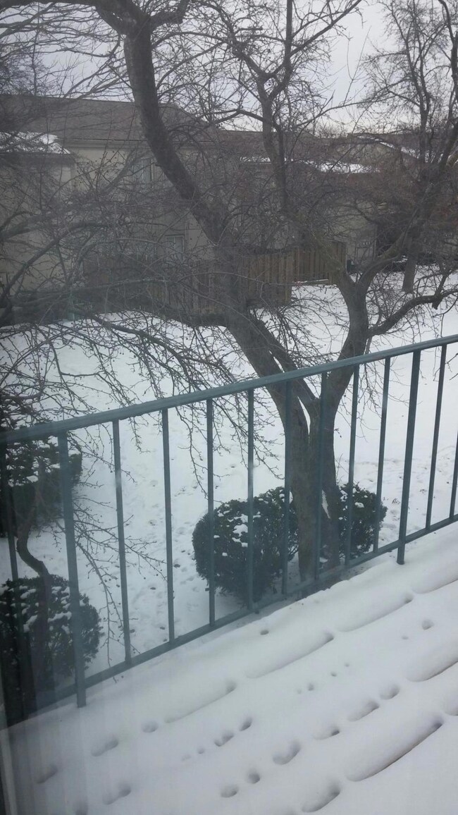 20150111_114846_resized