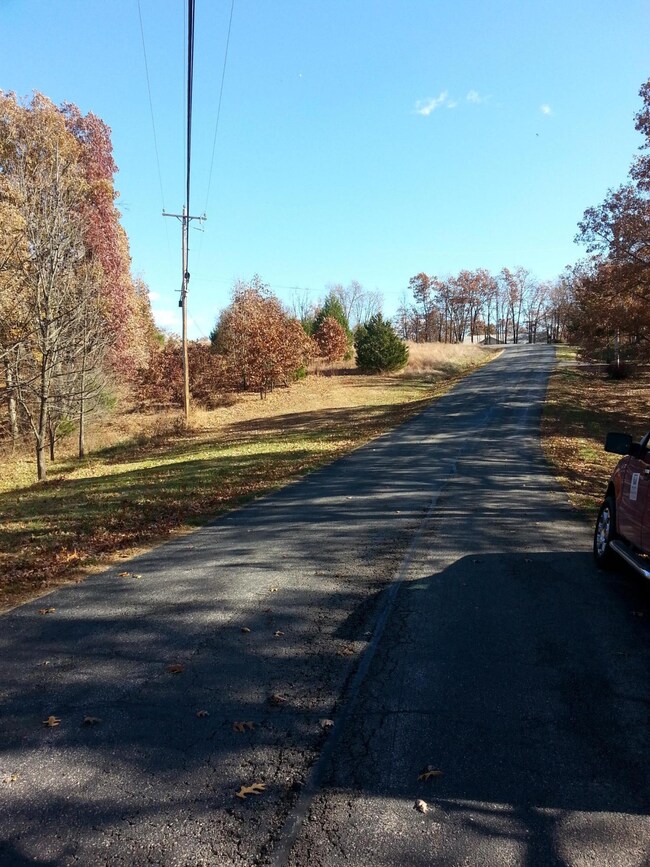 Lot 37 Buttonwood, Kimberling City, MO 65686 - photo 5