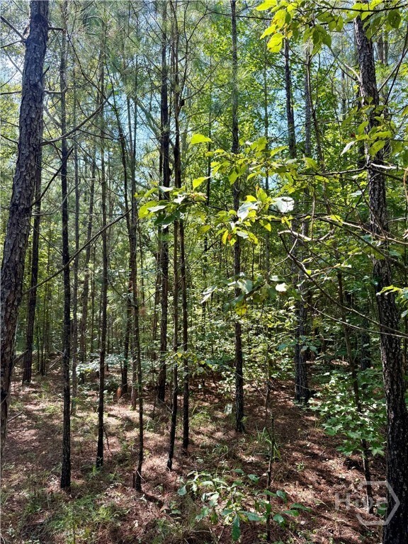 0 Best Bridge Rd unit SA336787, Sylvania, GA 30467 - photo 7