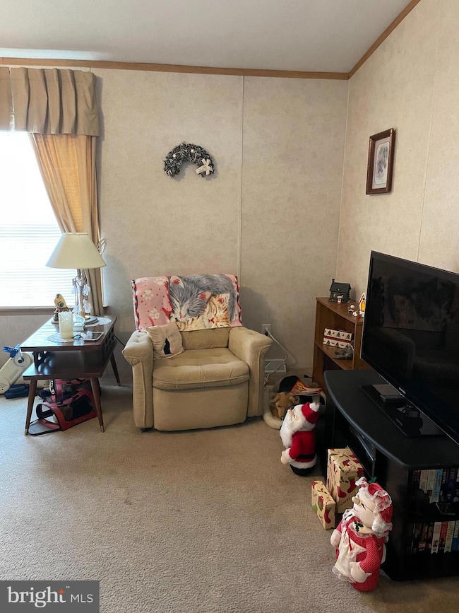 31 Jere Rd, Gordonville, PA 17529 - photo 7